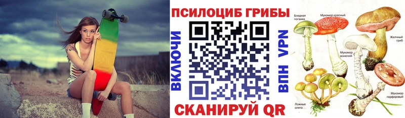 Галлюциногенные грибы Psilocybe  blacksprut зеркало  Камышин 